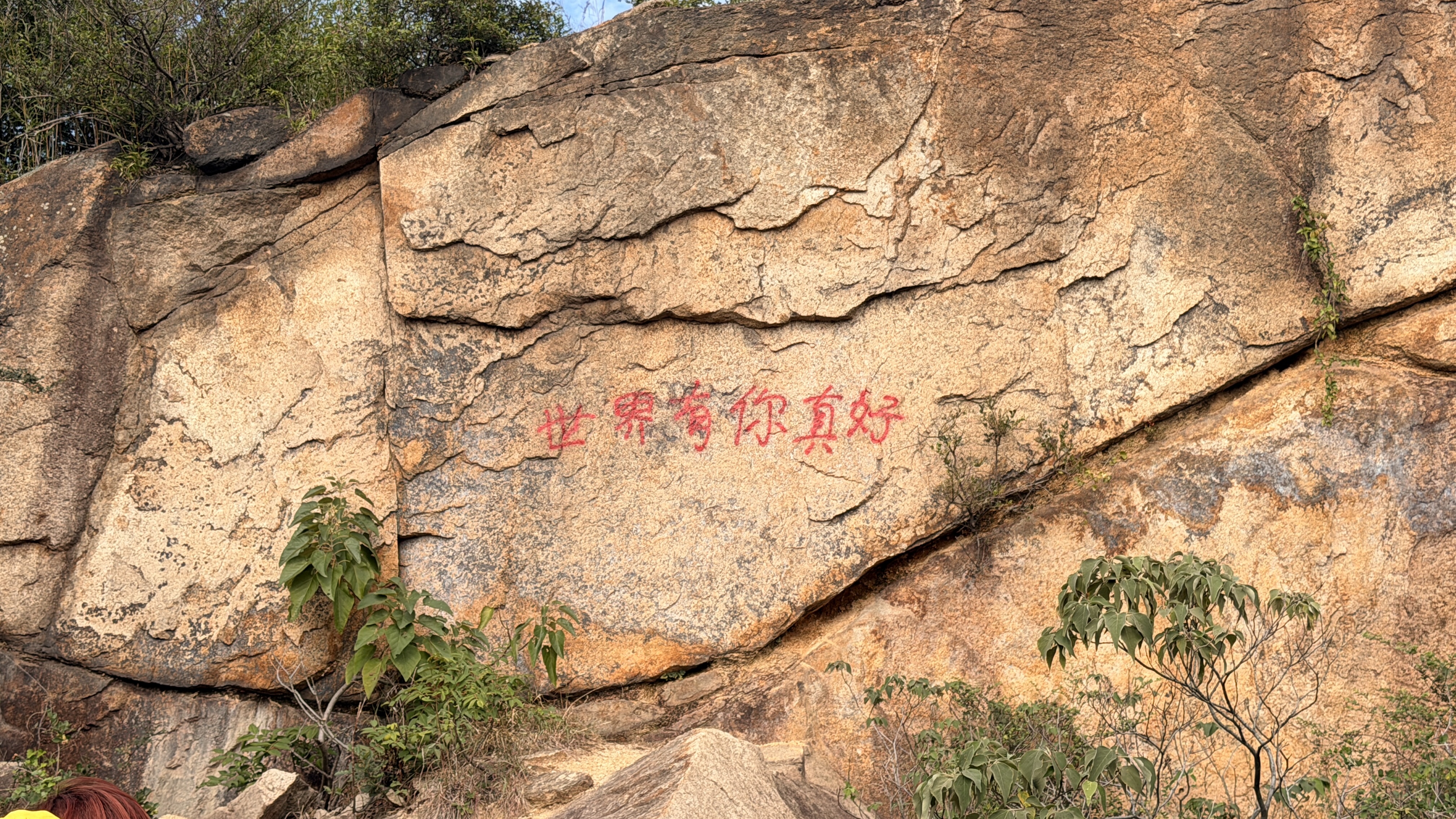 深度学习笔记